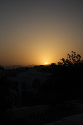 IMG_4987.JPG