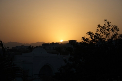 IMG_4989.JPG