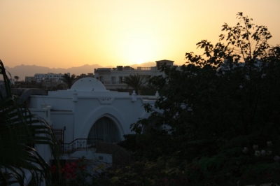 IMG_4991.JPG