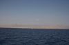 IMG_5007.JPG