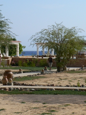 P1030348.JPG