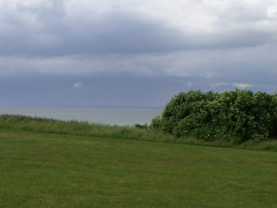 pic_087.jpg