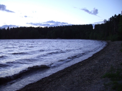 pic_135.jpg