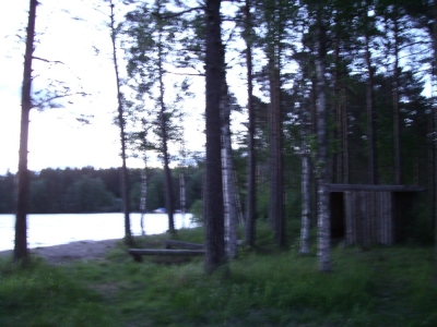 pic_136.jpg