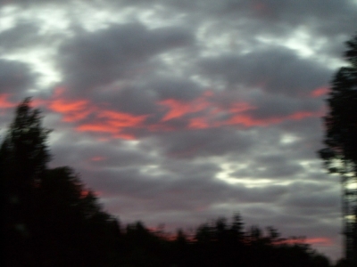 pic_139.jpg