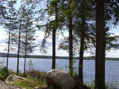pic_150.jpg