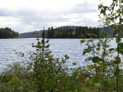 pic_153.jpg