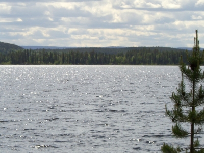 pic_154.jpg