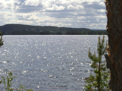 pic_155.jpg
