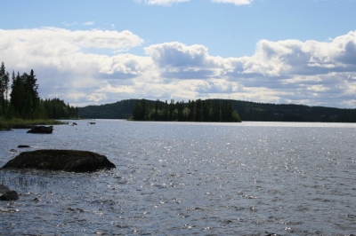 pic_168.jpg