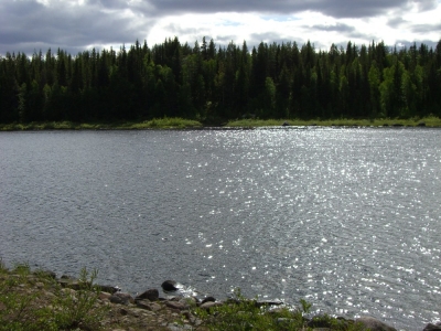 pic_179.jpg