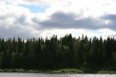 pic_187.jpg