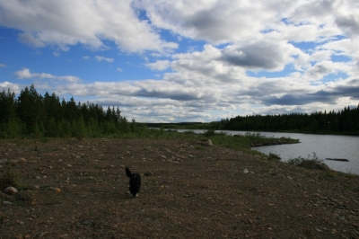 pic_189.jpg
