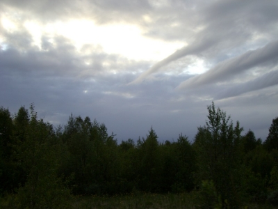 pic_261.jpg