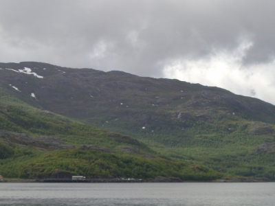 pic_285.jpg