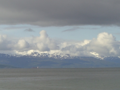 pic_286.jpg