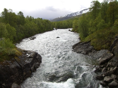 pic_294.jpg
