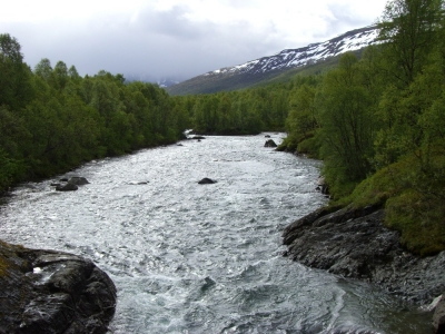 pic_295.jpg