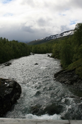 pic_297.jpg