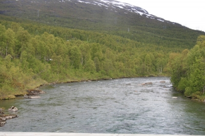 pic_298.jpg