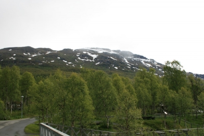 pic_300.jpg