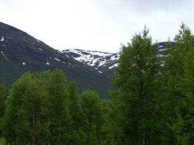 pic_327.jpg