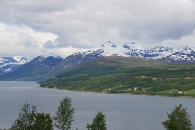 pic_353.jpg