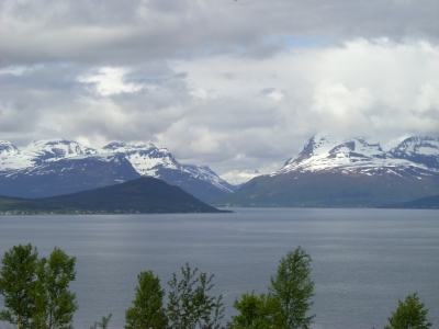 pic_357.jpg