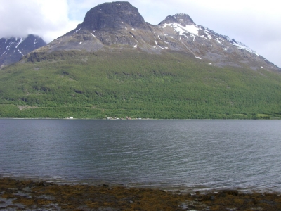 pic_364.jpg