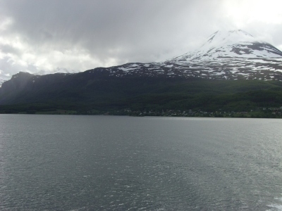 pic_374.jpg