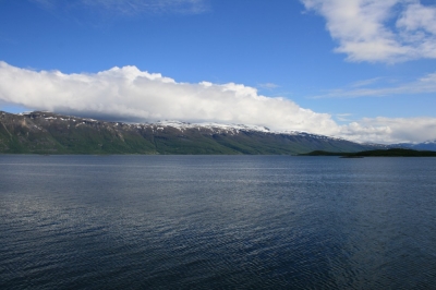 pic_376.jpg