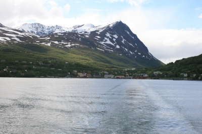 pic_377.jpg