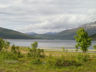 pic_386.jpg