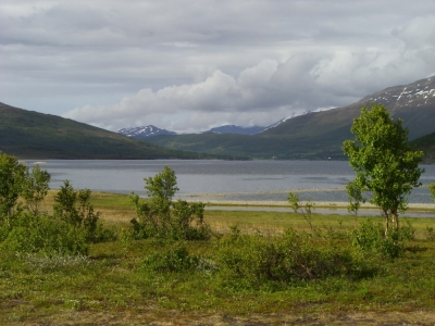 pic_387.jpg