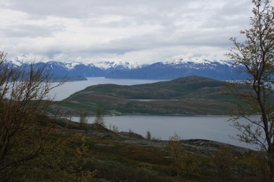 pic_400.jpg