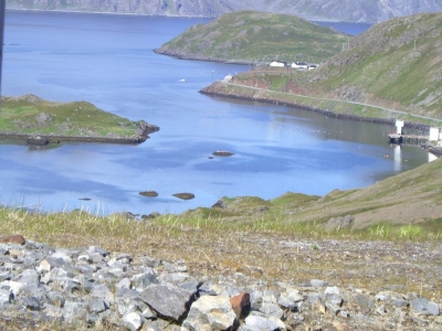 pic_437.jpg