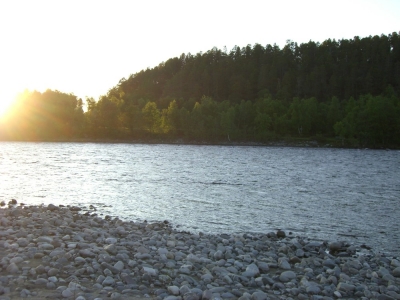 pic_528.jpg