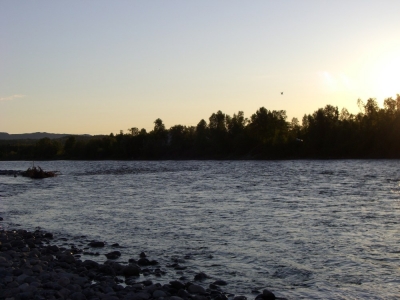 pic_530.jpg