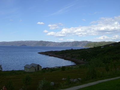 pic_561.jpg