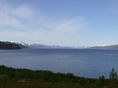 pic_563.jpg