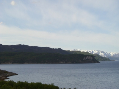 pic_564.jpg