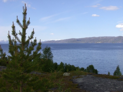 pic_594.jpg