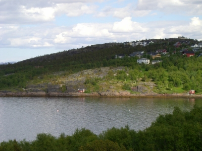 pic_595.jpg