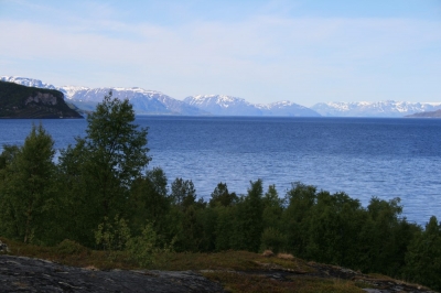 pic_597.jpg