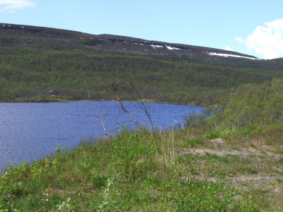 pic_614.jpg