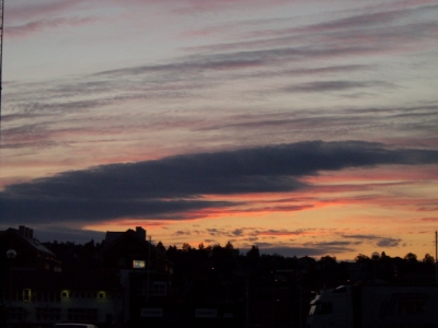 pic_632.jpg