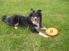 Filename=pic_029.jpg
Filesize=385KiB
Dimensions=1000x750
Date added=Sep 18, 2009 pic_029.jpg