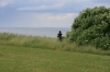 Filename=pic_047.jpg
Filesize=179KiB
Dimensions=1000x666
Date added=Sep 18, 2009 pic_047.jpg