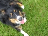 Filename=pic_050.jpg
Filesize=289KiB
Dimensions=1000x750
Date added=Sep 18, 2009 pic_050.jpg