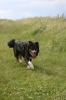 Filename=pic_071.jpg
Filesize=223KiB
Dimensions=666x1000
Date added=Sep 18, 2009 pic_071.jpg